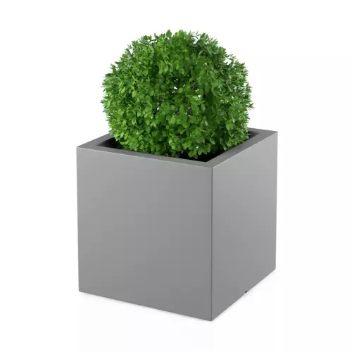 Bukszpan w szarej donicy PIXEL POT M