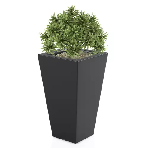 Czarny donica Slim Line S zestawienie z niską rośliną