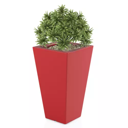 Czerwona donica Slim Line S zestawienie z niską rośliną