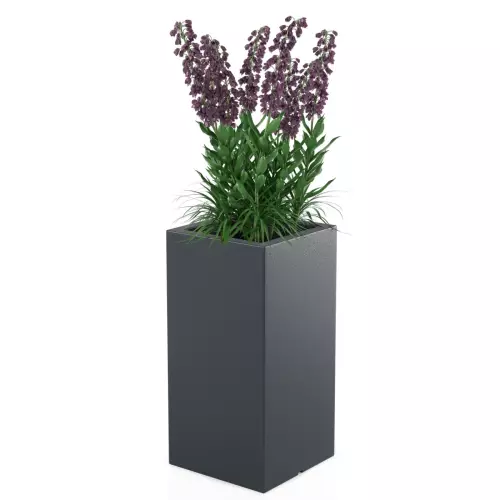 Antracytowa donica Tower Pot M w zestawieniu z rośliną średniej wysokości