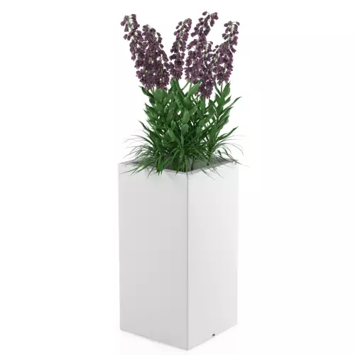 Biała donica Tower Pot M w zestawieniu z rośliną średniej wysokości