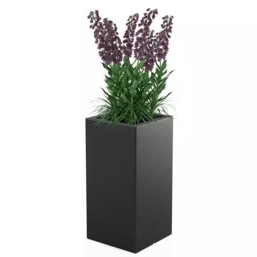 Czarna donica Tower Pot M w zestawieniu z rośliną średniej wysokości
