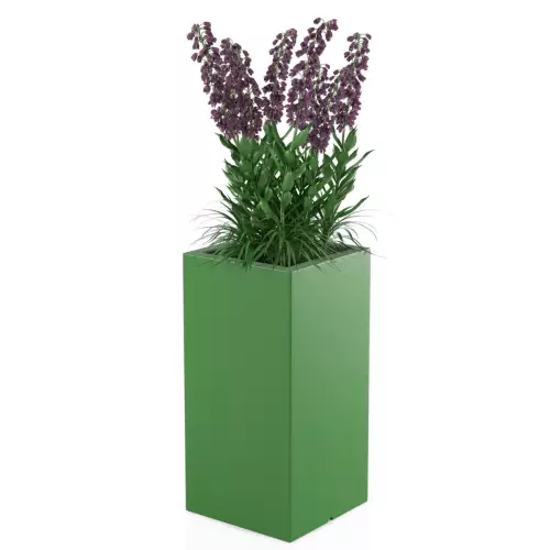 Limonkowa donica Tower Pot M w zestawieniu z rośliną średniej wysokości