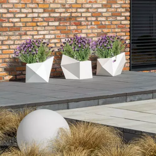 Lawenda w białych donicach Astro na tarasie