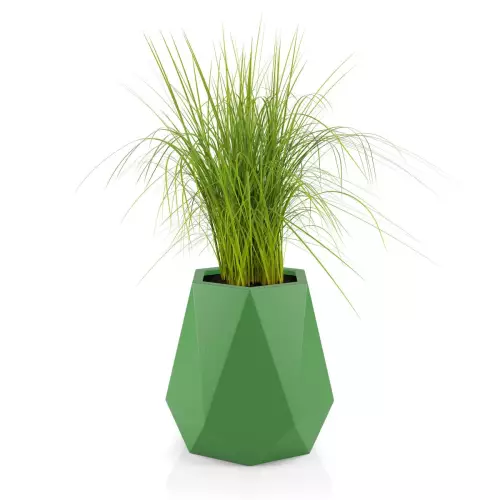 Trawy w limonkowej donicy Flavi