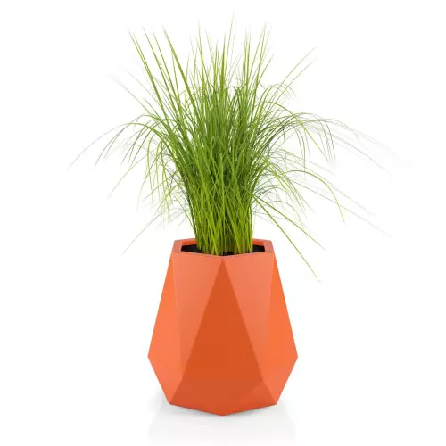 Trawy w pomarańczowej donicy Flavi