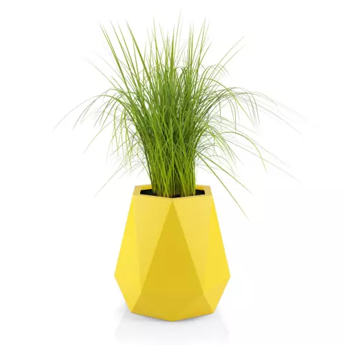 Trawy w żółtej donicy Flavi