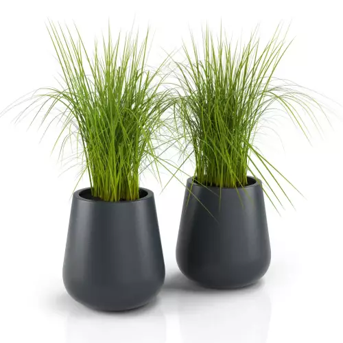 Donice LAGO z trawą dekoracyjną