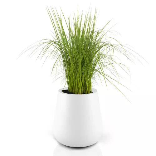 Donica LAGO z trawą dekoracyjną