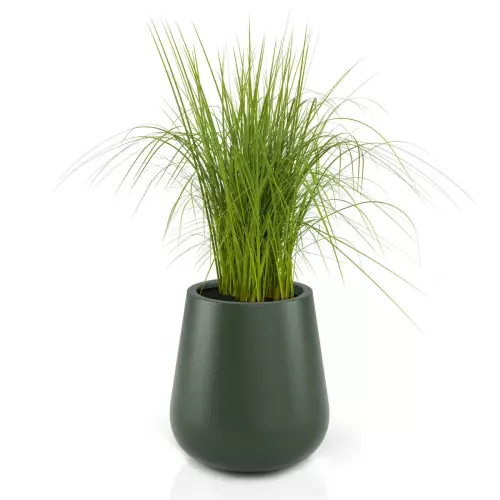 Donica LAGO z trawą dekoracyjną