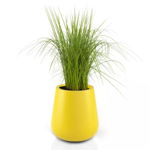 Donica LAGO z trawą dekoracyjną