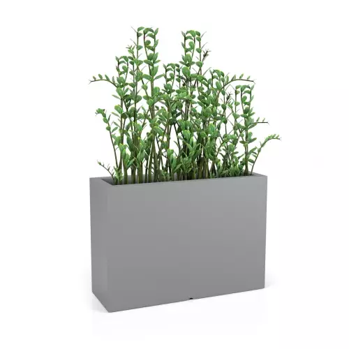 Szara donica VALENCIA