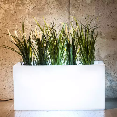 Świecąca donica do domu - Lungo Light