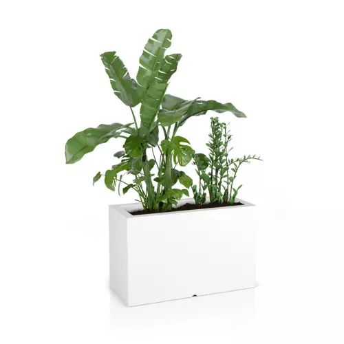 Donica Lungo Maxi 80x35x50 cm w kolorze białym