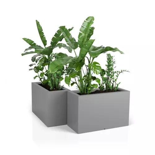 Donice Lungo Maxi pozwalają wydzielać przestrzeń zielenią