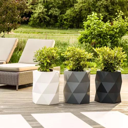 Różaneczniki w donicach MODENA na tarasie