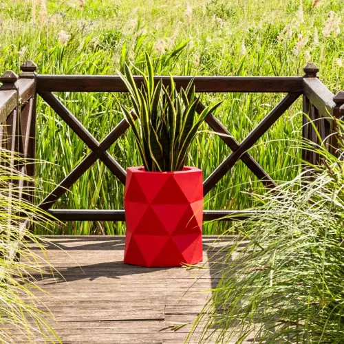 Sansevieria w czerwonej donicy MODENA