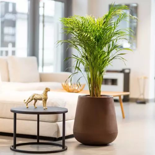 Donica LAGO w brązowym kolorze w salonie