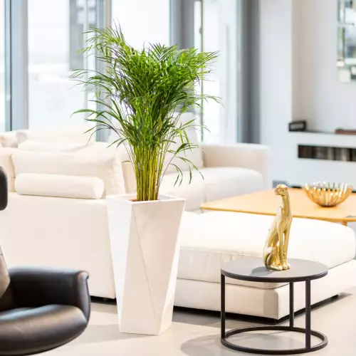 Donica VASO w białym kolorze w salonie