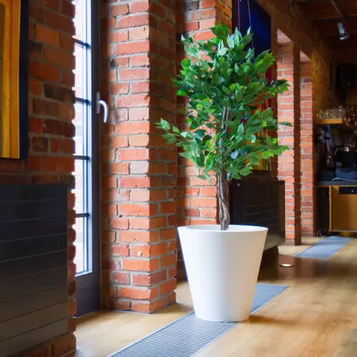 Biała donica OVO w restauracji