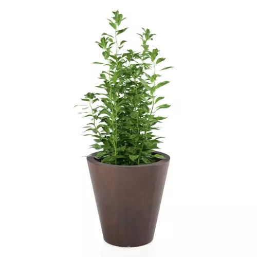 Donica OVO w kolorze stali corten