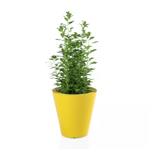 Żółta donica OVO 50 cm