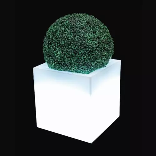 Bukszpan w podświetlanej donicy PIXEL POT M