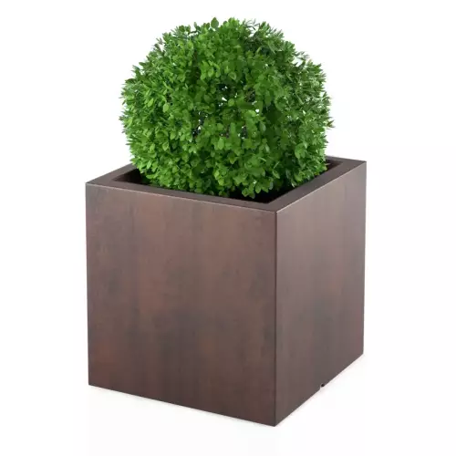 Bukszpan w donicy PIXEL POT w kolorze stali corten