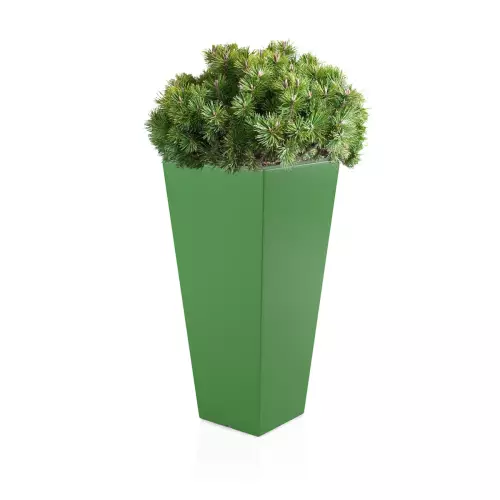 Limonkowa donica Slim Line M zestawienie z niską rośliną