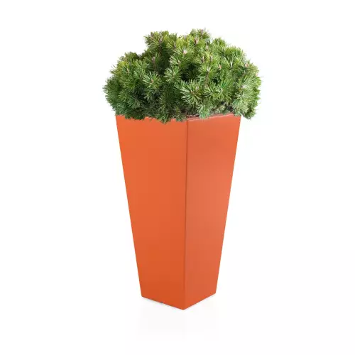 Pomarańczowa donica Slim Line M zestawienie z niską rośliną