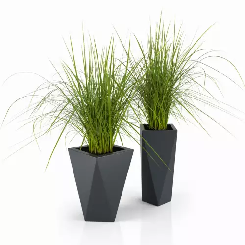 Donice VASO 60 i VASO 72 w kolorze antracyt z trawą dekoracyjną