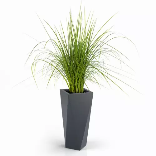 Donica VASO 72 z trawą dekoracyjną