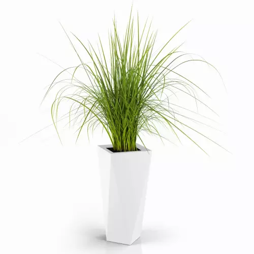 Biała donica VASO 72 z trawą dekoracyjną