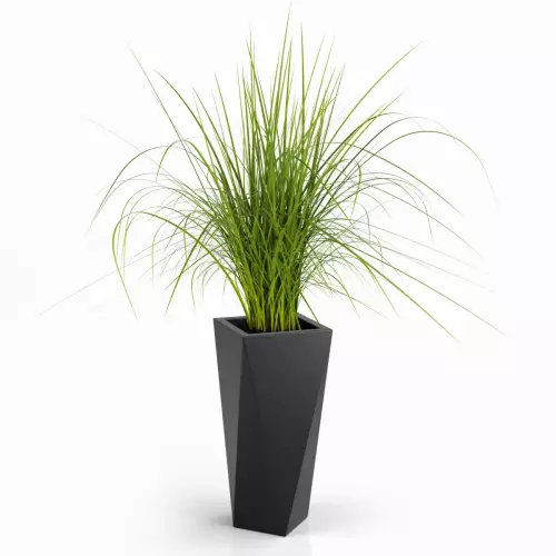 Czarna donica VASO 72 z trawą dekoracyjną