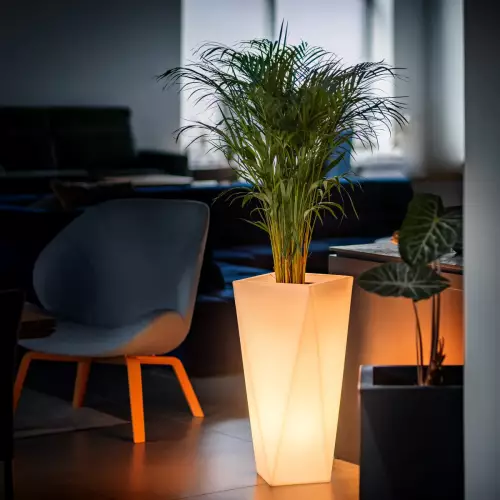 Podświetlana donica VASO w aranżacji