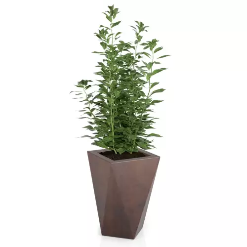 Donica VASO w brązowym kolorze imitującym stal corten