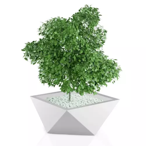 Designerska donica Vendetta w kolorze białym