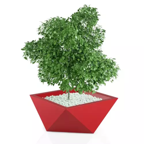 Designerska donica Vendetta w kolorze czerwonym