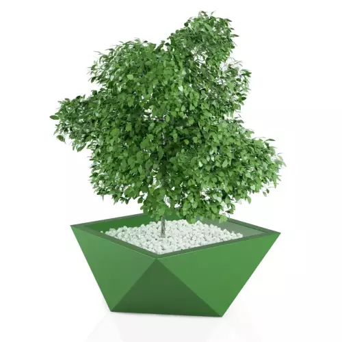 Designerska donica Vendetta w kolorze limonkowym