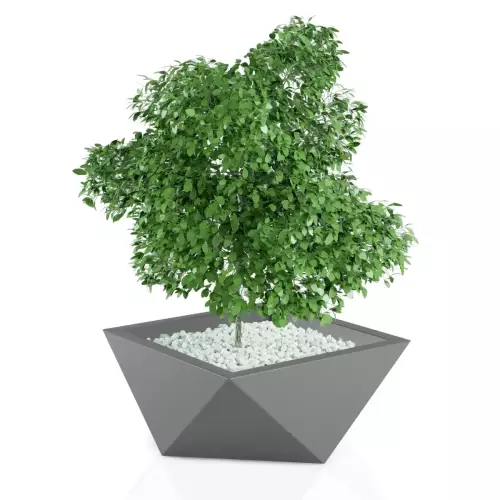 Designerska donica Vendetta w kolorze szarym