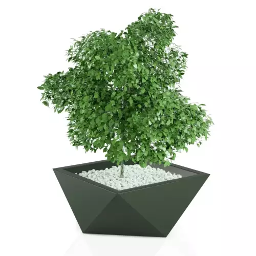 Designerska donica Vendetta w kolorze zielonym