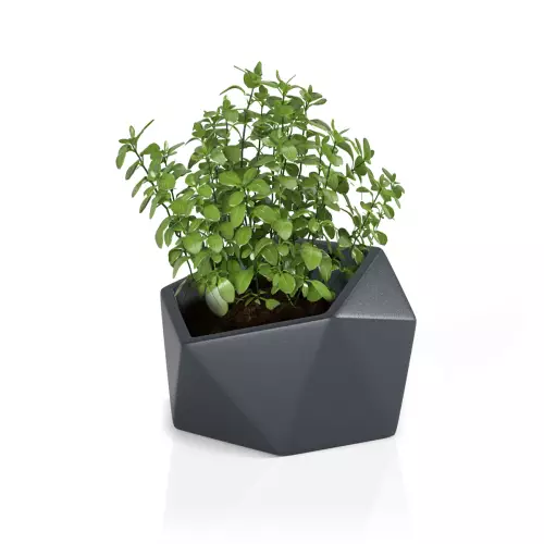 Donica na zioła Vesari 46 w kolorze antracyt