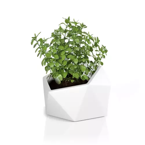 Donica na zioła VESARI 46 w kolorze białym