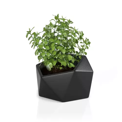 Donica na zioła Vesari 46 w kolorze czarnym