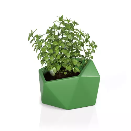 Limonkowa donica Vesari 46 do ziół