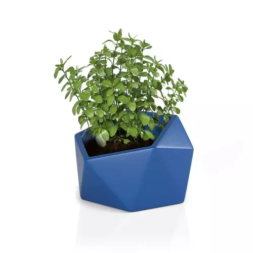 Zioła w donicy Vasari 46 w kolorze niebieskim