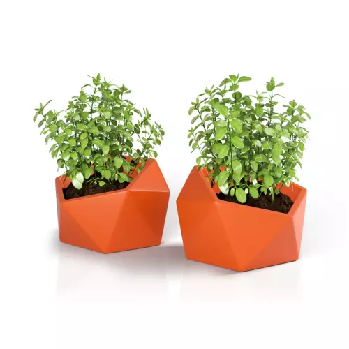 Donica do ziół - Vesari 46 w kolorze pomarańczowym