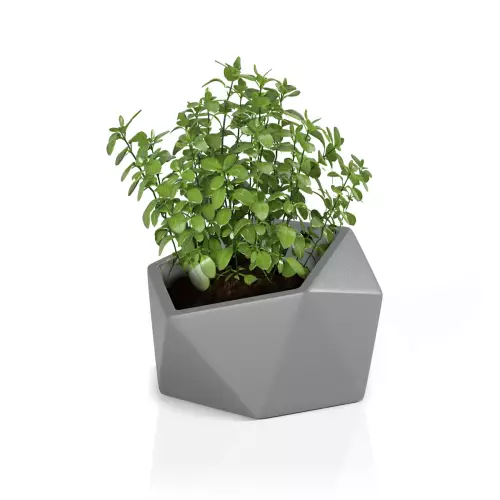 Szara Vesari 46 - donica do ziół