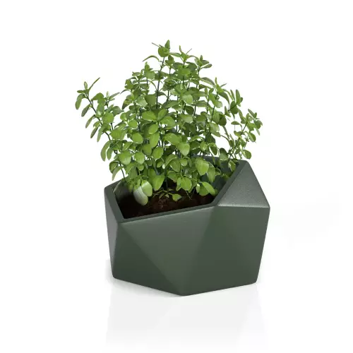 Donica Vesari 46 zilona - do ziół