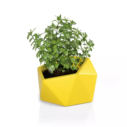 Donica na zioła - Vesari 46 w kolorze żółtym